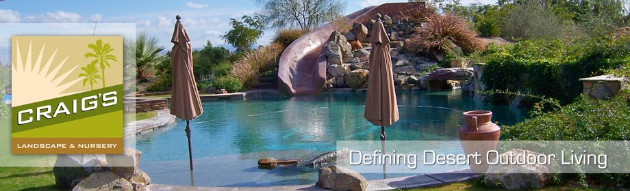 ncaa betting picks rocky gap casino resort